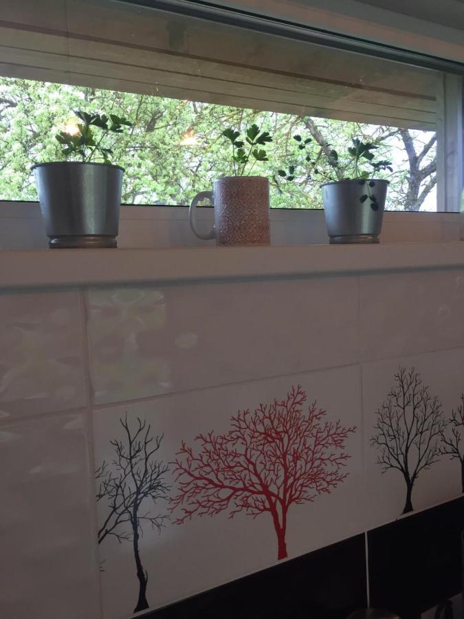 Holiday House Ausekla Namins Cēsis Екстериор снимка